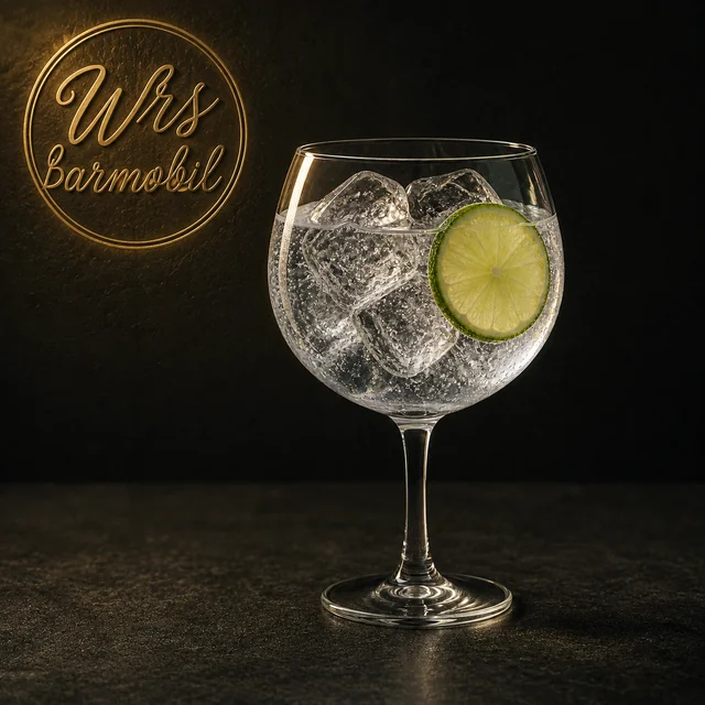 Ilustrație de prezentare Gin Tonic